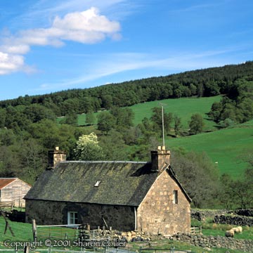 Scottish Farmhouse