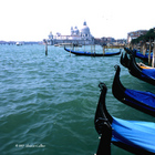 Gondolas of Venezia