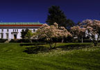 Springtime at UC Berkeley