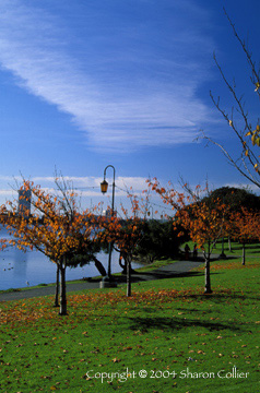 Autumn at Lake Merritt