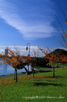 Autumn at Lake Merritt