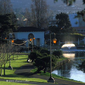 Pearls of Lake Merritt