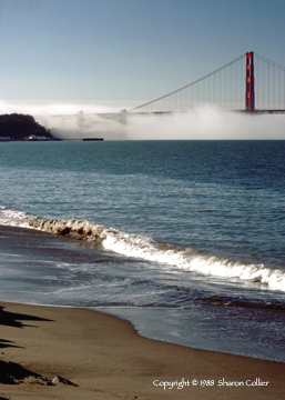 Morning Fog in San Francisco