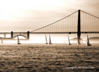 Sailboat Race at Golden Gate Bridge
