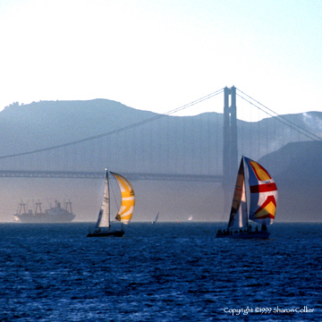 San Francisco Bay