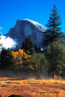 Half Dome at Yosemite National Park