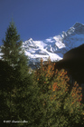 Autumn in Grindelwald