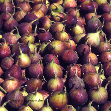 Brown Turkey Figs