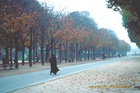 Autumn on the Champs Elysees