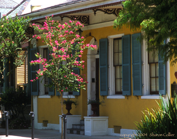 Classic Home in the French Quarter