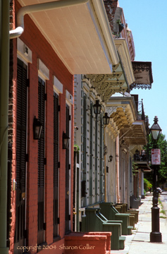 Houses of New Orleans