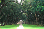 Oak Alley Plantation