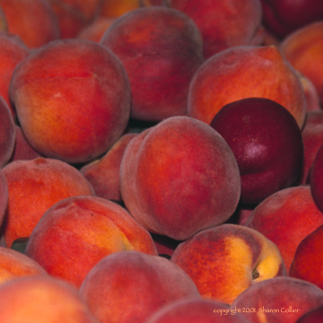 California Peaches