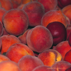 California Peaches