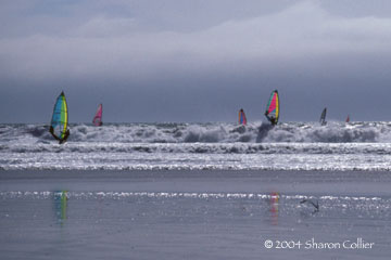 California Windsurfers