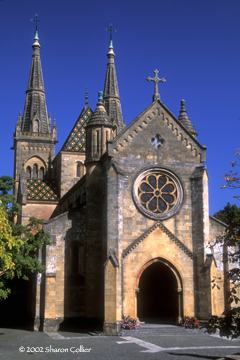 Collegiate Church of Neuchatel