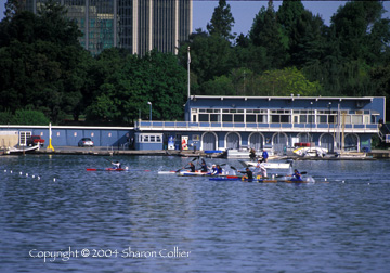 Kayaking to the Olympics