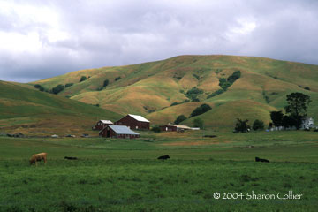 Sonoma Ranch