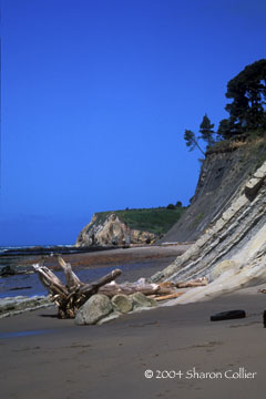 Mendocino Coastline