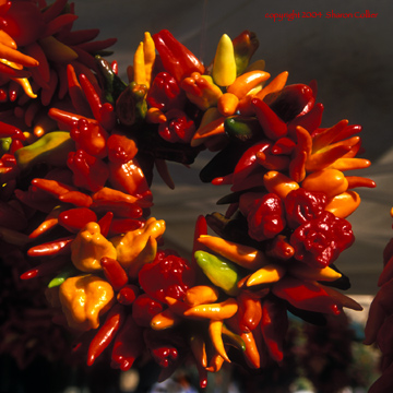 Chili Pepper Wreath