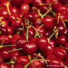 Cherries