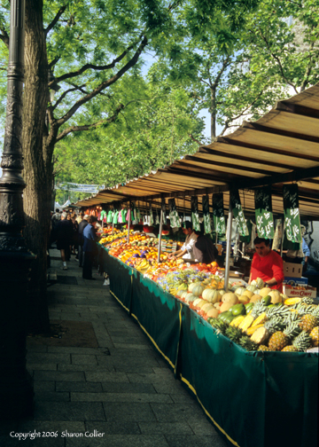 Early Morning at the Paris Market