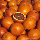 Blood Oranges