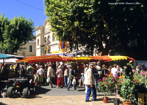 Market day in Apt