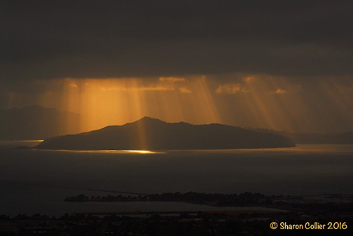 Light Dance at Angel Island