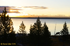 Elk Silhouette at Dawn - Yellowstone Lake