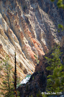 The Grand Canyon of Yellowstone