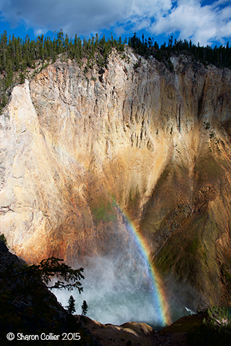 Misty Rainbow at Yellowstone