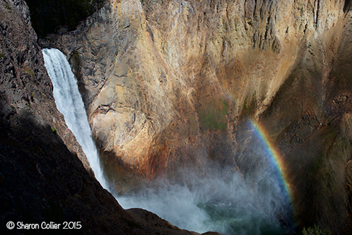 Yellowstone Waterfall