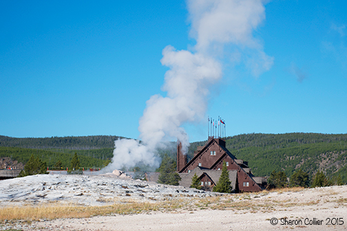 Old Faithful Geyser and Inn