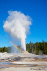 Rainbow at Lion Geyser - Yellowstone