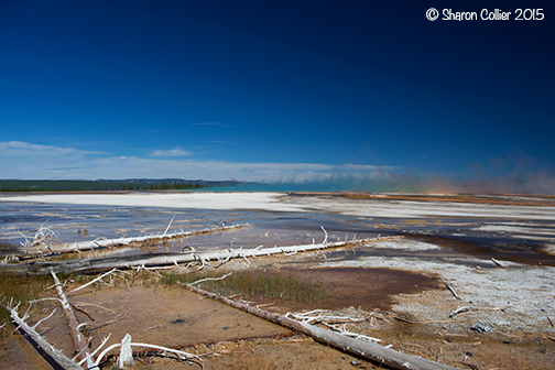 Midway Geyser Basin in Yellowstone