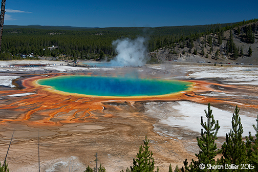 Bird's-Eye View of Grand Prismatic Spring