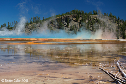 Rainbow Steam at Grand Prismatic Spring