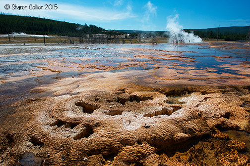 Mineral Formations at Biscuit Basin - Yellowstone