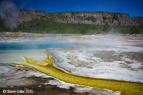 Bisquit Basin at Yellowstone