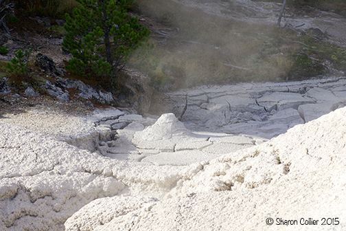Mud Pot at Yellowstone