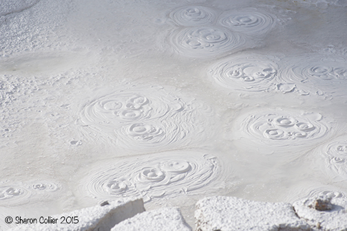 Fountain Paint Pots at Yellowstone