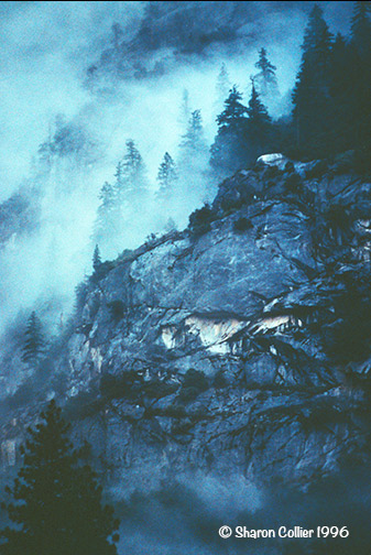 Yosemite Mist