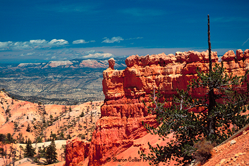 Bryce Canyon