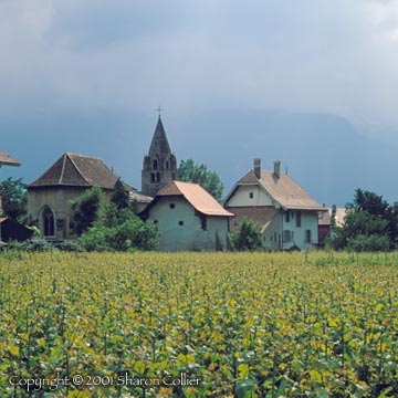 Aigle, Switzerland