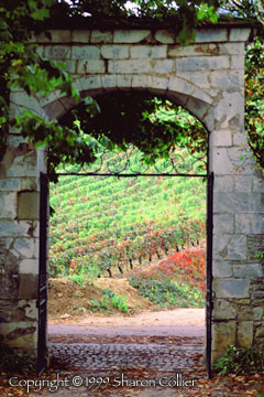 Burgundian Gate