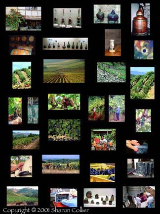 Harvest Collage