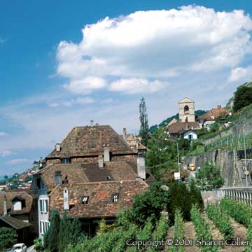 St. Saphorin, Switzerland