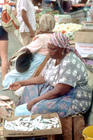 Fishmonger of Curacao