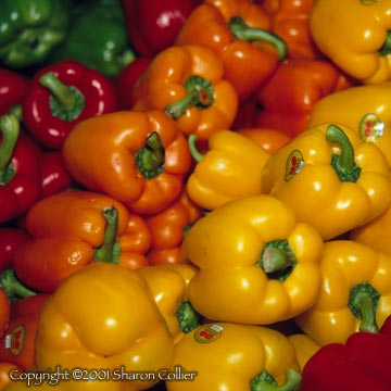 Bell Peppers